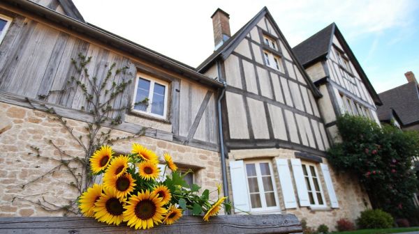 Projets de rénovation au Mans : pourquoi choisir un artisan